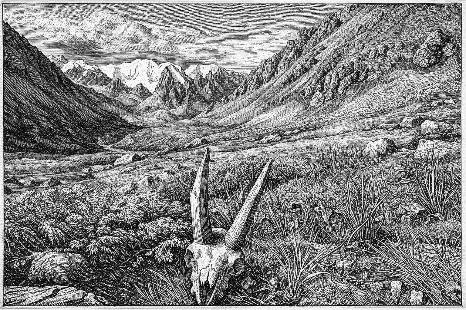 Upřímnost až na kost